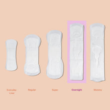 Load image into Gallery viewer, The Honey Pot Co. Herbal Infused Overnight Pads
