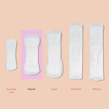 Load image into Gallery viewer, The Honey Pot Co. Herbal Infused Regular Pads